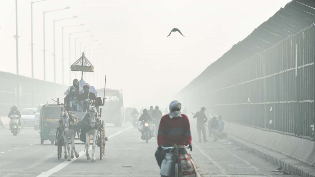 Delhi Temperature
